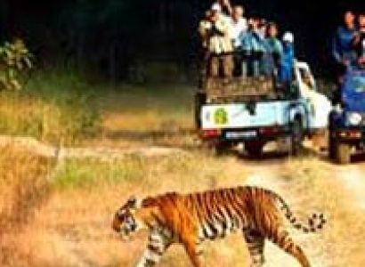 Brocher Of Chilla Zone Safari Tour