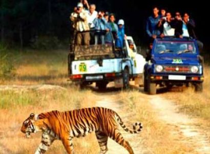 Corbett Tour