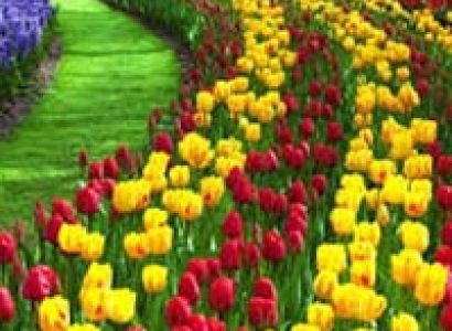 Magical Kashmir with Sonamarg Tour