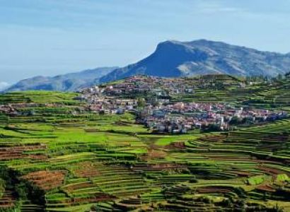 Mysore, Ooty & Wayanad Package