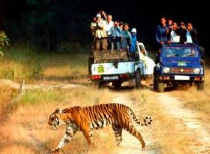 Nainital - Almora – Jim Corbett Tour