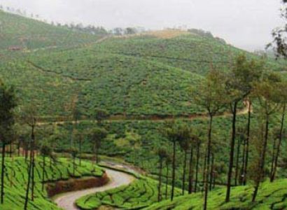 Kerala Package - 7 Days