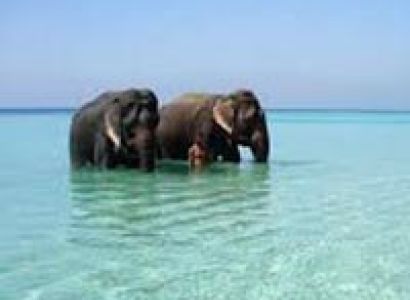 Ultimate Andaman Adventure Tour