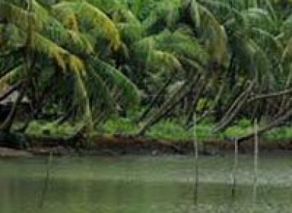 Golden Triangle & South India Tour