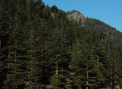 Local Sightseeing Tour