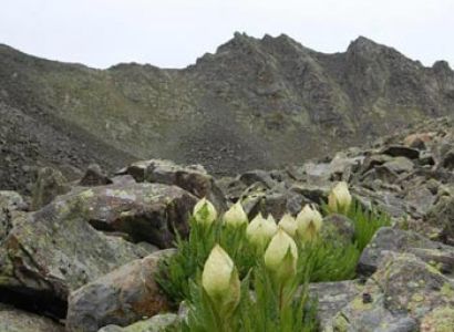 Hanyaa Peak Climb Tour