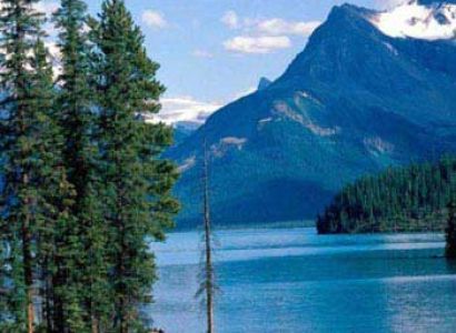 Delhi - Nainital - Delhi Tour Package