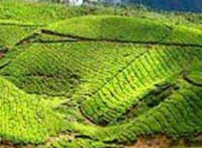 Nainital and Ranikhet Tour Packages