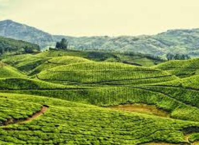 Mysore Ooty Kodaikanal Tour by Etios car 4+1