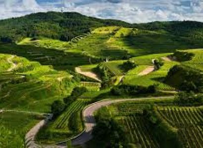 Mysore and Coorg Tour 3 Days by Innova 7+1