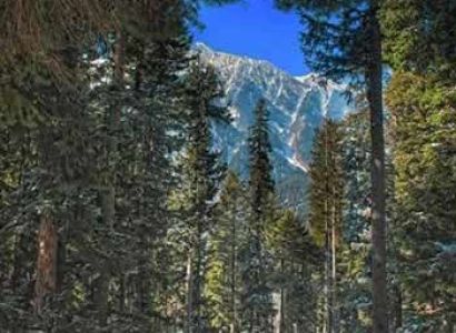 Wonderfull Kashmir 5 Nights 6 Days Package