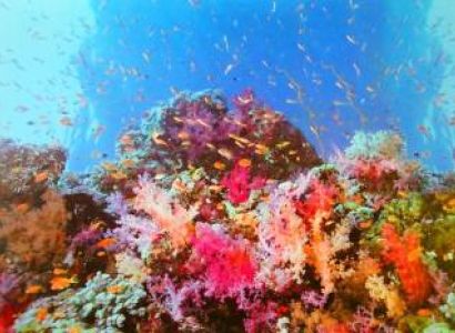 Port Blair - Havelock - Neil Island Tour