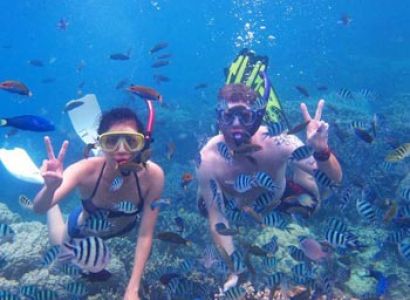 From Dubai: Snorkeling Trip In Fujairah With Transfer Tour