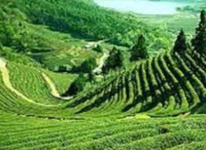 05 Night 06 Days Darjeeling - Namchi - Gangtok Tour Package