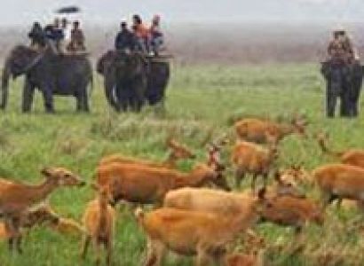 06 Night 07 Day North East Tour Package