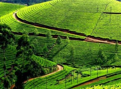 Kerala Package 3Night 4Days