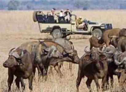 South Luangwa Lower Zambezi & Kafue National Park Safari Package