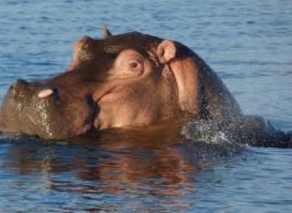 4 Days Kafue National Park Zambia Safari Tour