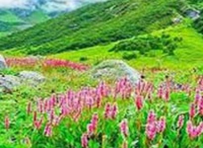 Valley Of Flowers Trek Tour