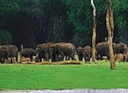 Short Escape to Periyar Tour