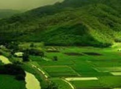 Short Tour of Wayanad