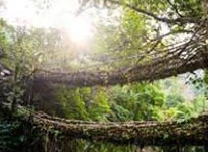 North-East Shillong Tour Package