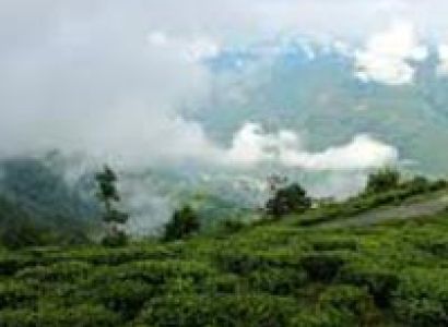 Bara Mangwa-Tinchuley Sikkim Tour