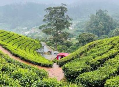 Ooty 2 Nights 3 Days Tour Package