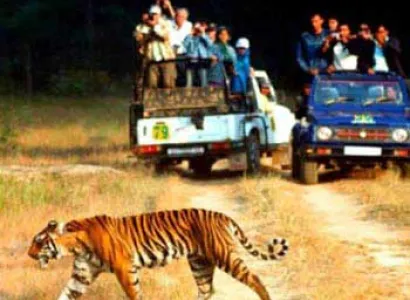 Nainital-Corbett Tour