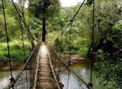 Southern Tour with Hills