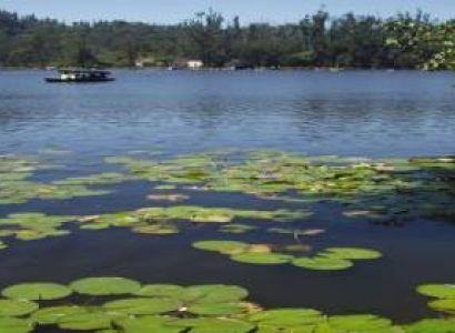 Madurai - Kodaikanal Tour
