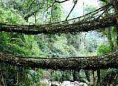 Beautiful Shillong with Guwahati Tour