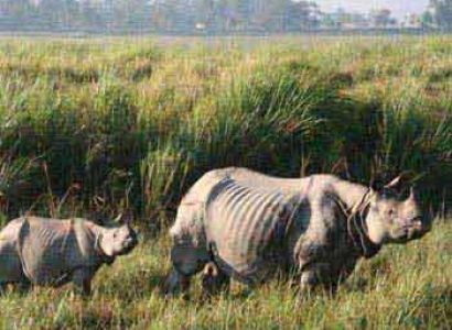 Sweet Seven Sisters Tour