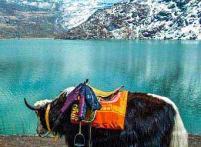 Darjeeling Gangtok Tour