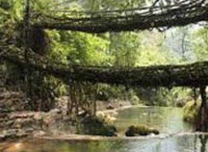 Amazing Assam with Meghalaya Tour