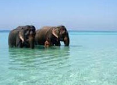 Andaman With Neil Island Tour