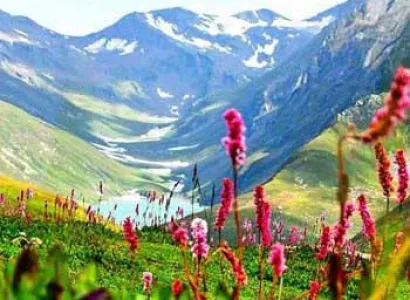 Valley of Flowers Trek Tour