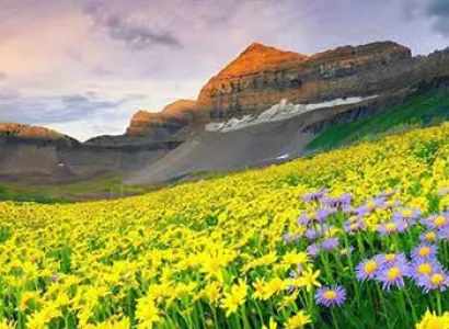 Valley of Flowers Trekking Tour