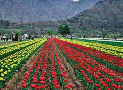 Beautiful Kashmir Trip 8N/9D Package