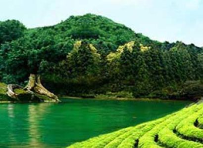 Exotic Kerala Hills, Backwater, Beach 6 Days / 5 Nights