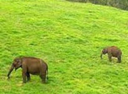 Explore the South India 10 Days / 9 Nights 