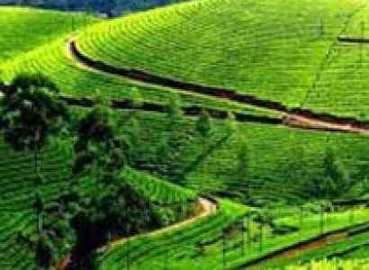 04 Days/03 Nights Darjeeling Tour