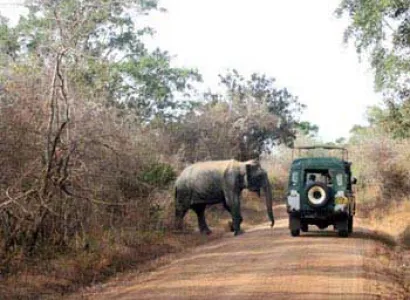Budget Wild Life Tour