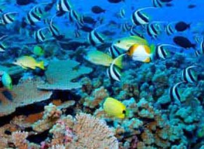 Boat & Jeep Safari Tour