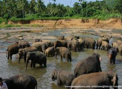 Sri Lanka Short Tour