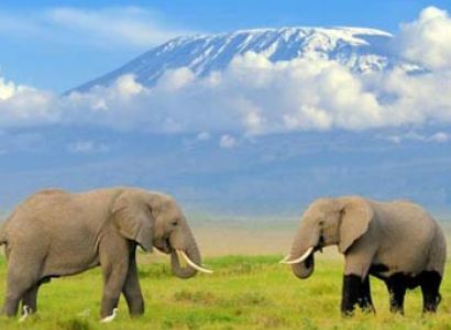 Amboseli Overnight Safari 2-Day Tour