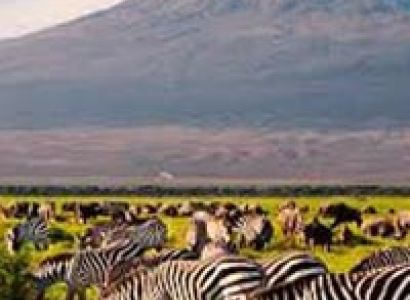 Amboseli - Lakes Naivasha & Nakuru - Masai Mara - 7 Days Safari Kenya Tour