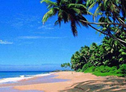 Goa 3N/4D Package