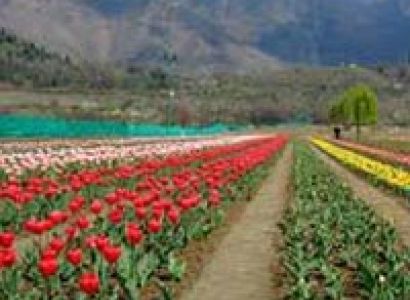 Srinagar Tour With Pahalgam
