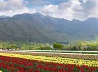 Splendors of Kashmir Tour